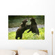 Two Grizzly Bears Fighting Wall Mural