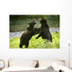Two Grizzly Bears Fighting Wall Mural