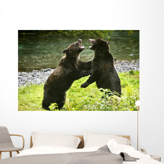 Two Grizzly Bears Fighting Wall Mural