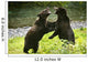 Two Grizzly Bears Fighting Wall Mural