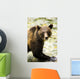 Grizzly Bear Wall Mural