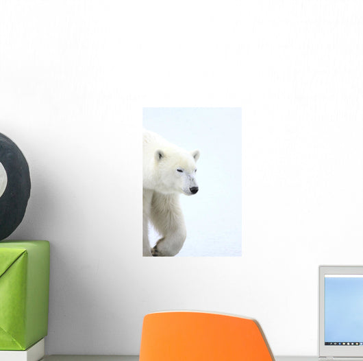 Polar Bear Wall Mural