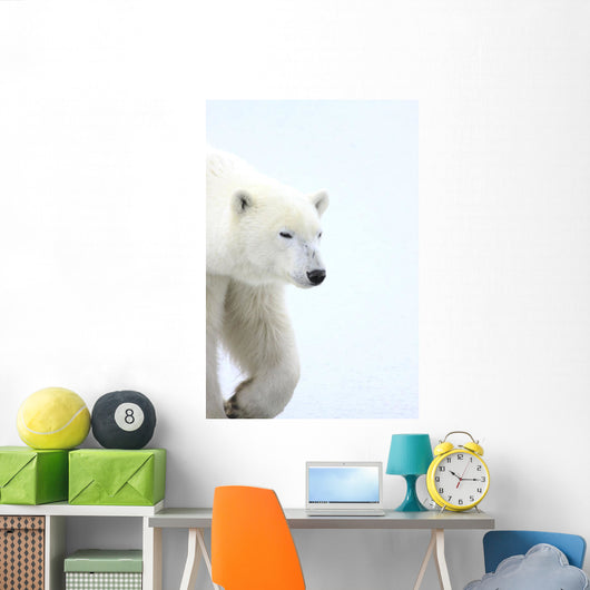 Polar Bear Wall Mural