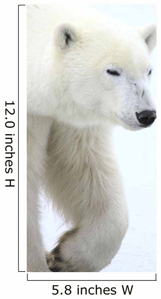 Polar Bear Wall Mural
