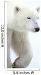 Polar Bear Wall Mural