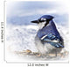 Blue Jay Wall Mural