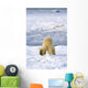 Back Of A Polar Bear Wall Mural