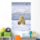 Back Of A Polar Bear Wall Mural