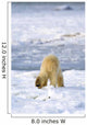 Back Of A Polar Bear Wall Mural