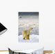 Polar Bear Wall Mural