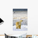 Polar Bear Wall Mural