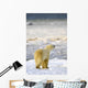 Polar Bear Wall Mural