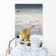 Polar Bear Wall Mural