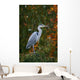 Graureiher Wall Mural