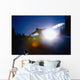 Snowboarder Wall Mural