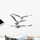 Multiple Flying Seagulls Wall Decal Sticker Set