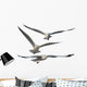 Multiple Flying Seagulls Wall Decal Sticker Set