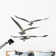 Multiple Flying Seagulls Wall Decal Sticker Set