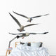 Multiple Flying Seagulls Wall Decal Sticker Set