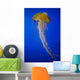 Jellyfish Wall Mural