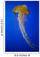 Jellyfish Wall Mural
