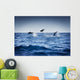 Dolphins Playing In The Ocean Wall Mural