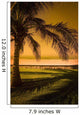 Palm Tree In Mazatlan, Mexico Wall Mural