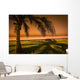 Palm Tree In Mazatlan, Mexico Wall Mural