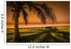 Palm Tree In Mazatlan, Mexico Wall Mural