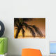 Palm Tree And Sunset In Mexico Wall Mural