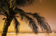 Palm Tree And Sunset In Mexico Wall Mural