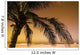 Palm Tree And Sunset In Mexico Wall Mural