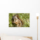 Squirrel Eating A Nut Wall Mural