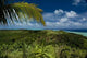 Aitutaki 2 Wall Decal