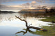 Lake Derwent, Cumbria, England Wall Mural