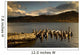 Broken Dock, Loch Sunart, Scotland Wall Mural
