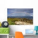 Rainbow On The Island Of Arran, Scotland Wall Mural
