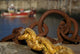 Harbour With Mooring And Fishing Boat Wall Mural