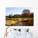 Landscape In Scotland Wall Mural