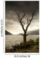 Dying Tree On Shoreline, Loch Lomand, Scotland Wall Mural