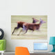 Running Deer Wall Mural
