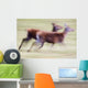 Running Deer Wall Mural