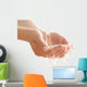 Water In Hands Wall Decal