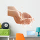 Water In Hands Wall Decal
