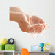 Water In Hands Wall Decal
