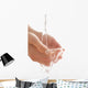 Water In Hands Wall Mural