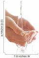 Water In Hands Wall Mural