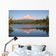 mount hood Wall Mural