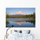 mount hood Wall Mural