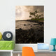 Rocky Coastline, Poipu, Kauai, Hawaii Wall Mural